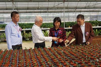 神舟帶回的太空蔬菜更好吃？江門“飛天”種子專業(yè)戶揭示農(nóng)業(yè)科研新篇章